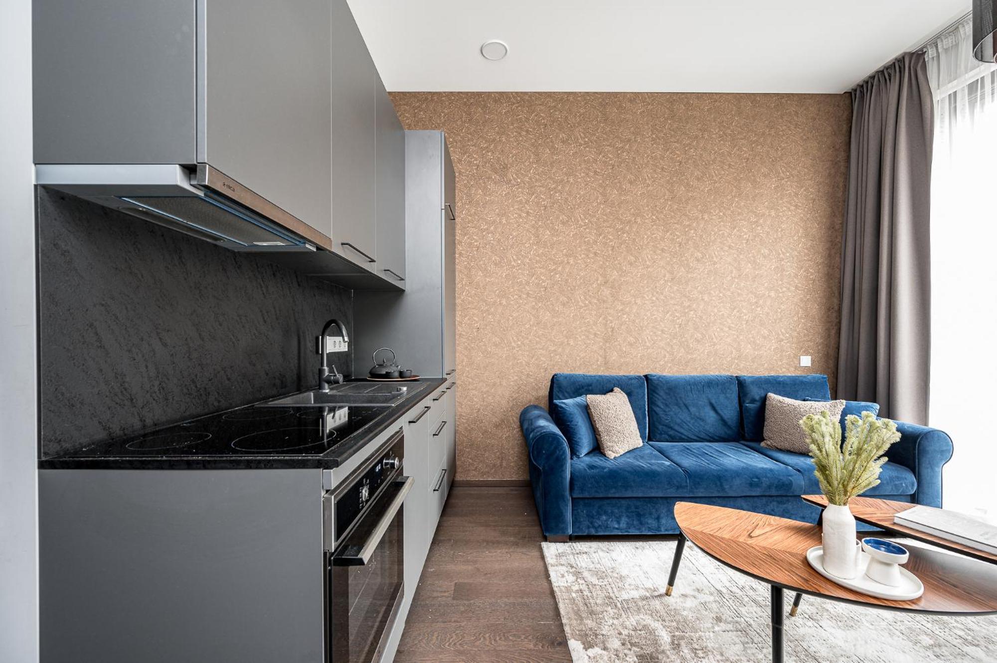 Vilnius Old Town Studio Renessaince 5 외부 사진